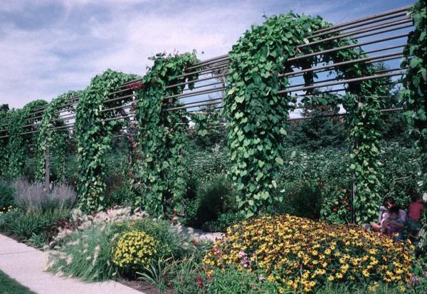Скулптурната градина в Минеаполис - САЩ (Minneapolis Sculpture Garden – EUA) ;Снимка: garden.walkerart.org