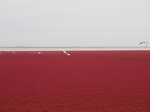 Снимка: Flickr