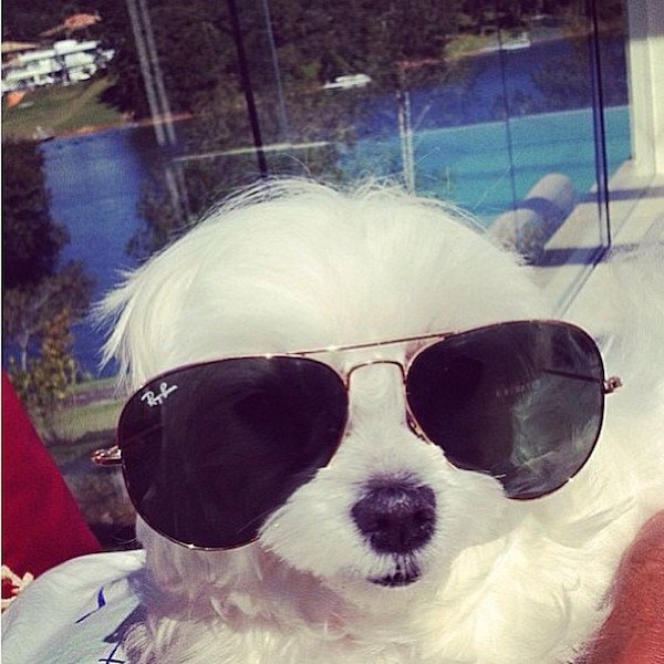 Снимка: Instagram
