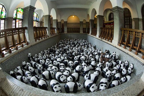 Снимка:  pandasworldtour.tw 