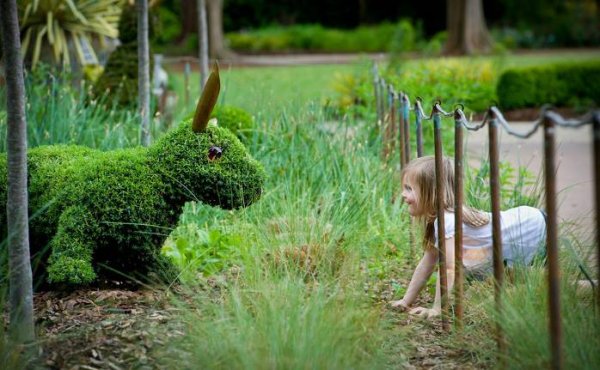 Снимка: Atlanta Botanical Gardens