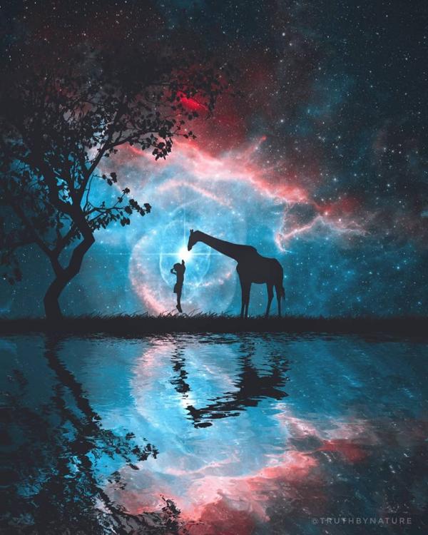  Instagram/truthbynature