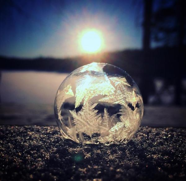 Снимка: Instagram