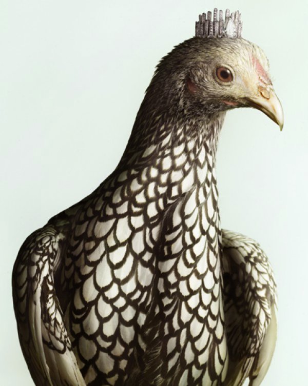 Снимка: Peter Lippmann