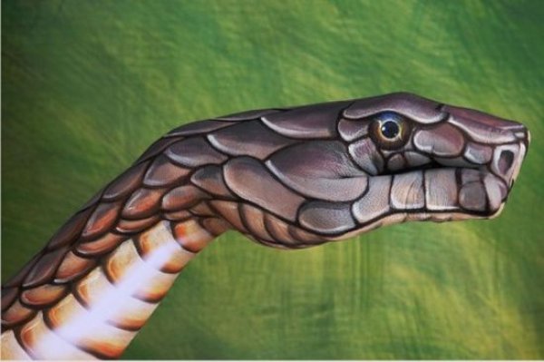Снимка: Guido Daniele