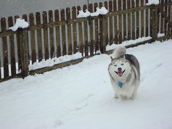 Снимка: imgur.com