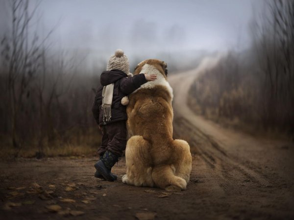 Снимка: Elena Shumilova