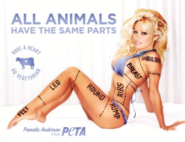 Снимка: PETA