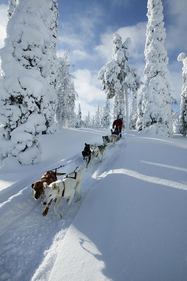 Снимка: visitfinland