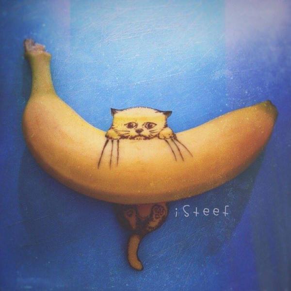 ISteef/http://isteef.com/