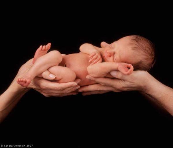 Снимка: Howard Schatz