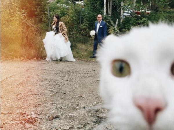 Снимка: Instagram