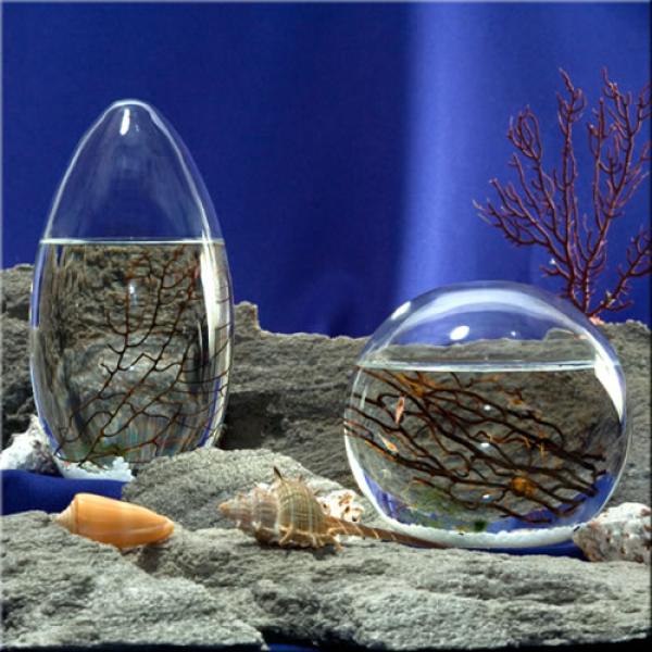 Снимка: eco-sphere.com