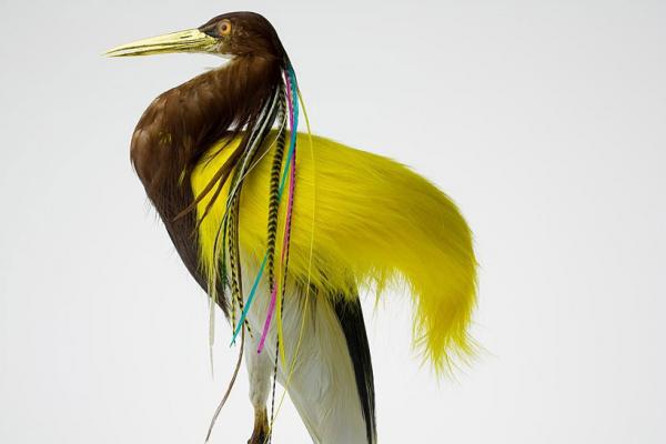 Снимка: designboom.com