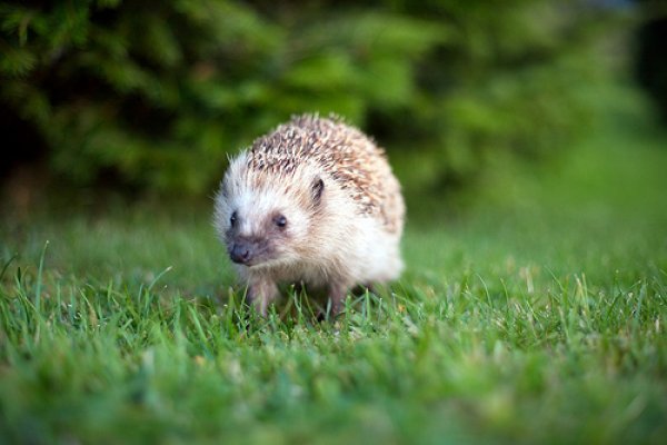 Снимка: photographyblogger.net