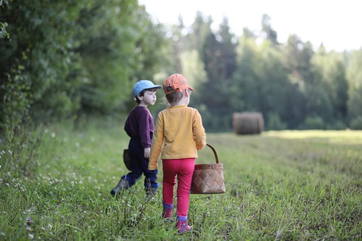 кърлеж istock