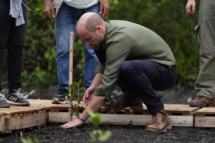 принц Уилям