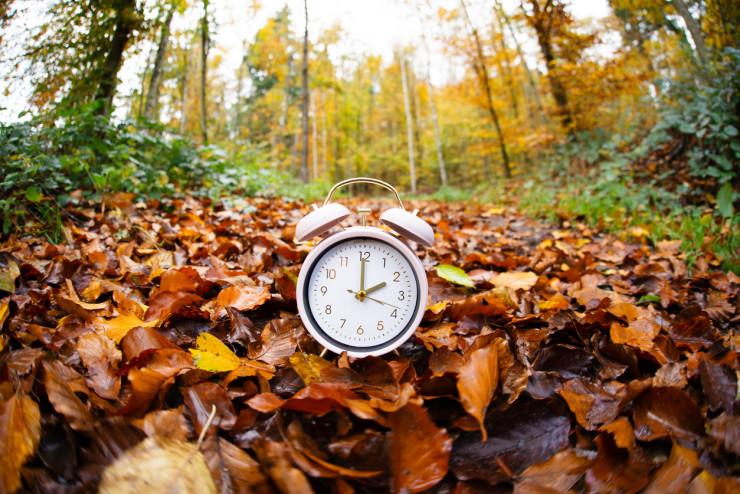 часовник istock