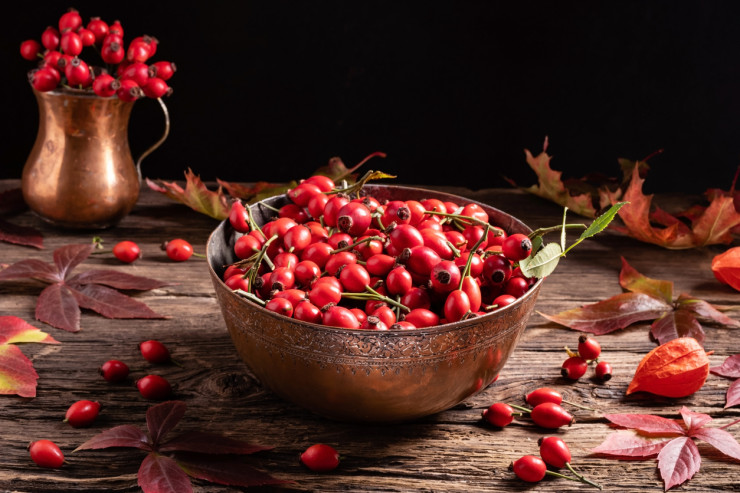 шипка istock