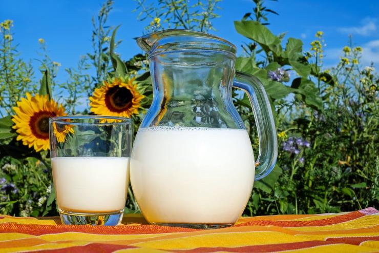 мляко Pixabay