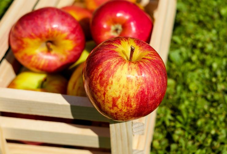 ябълки Pixabay