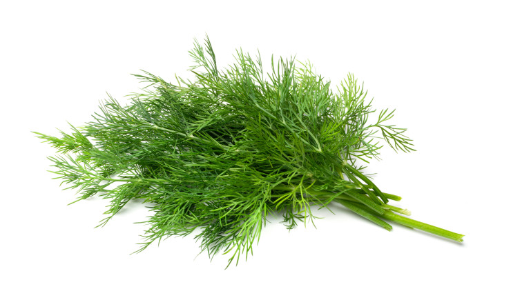 копър istock