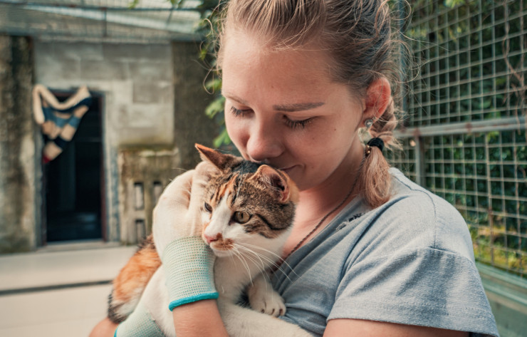 доброволец istock