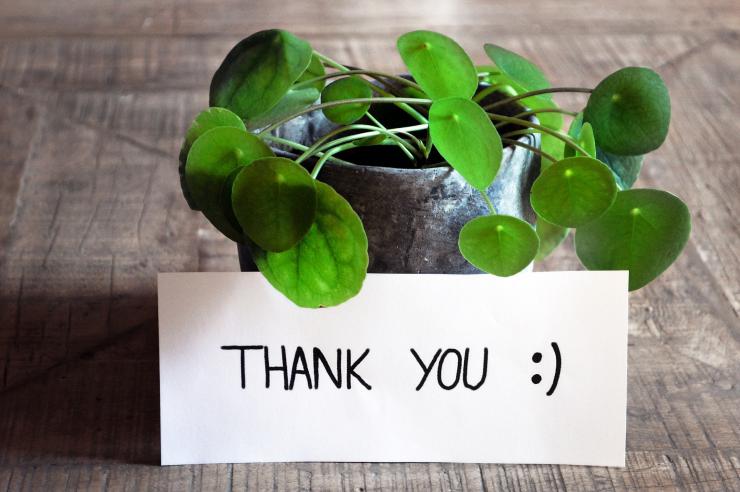 цвете, thank