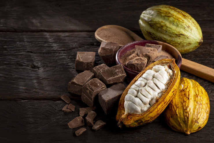 какао istock