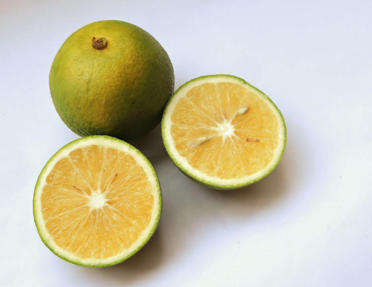 лайм istock