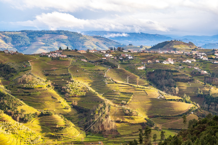 Douro Valley