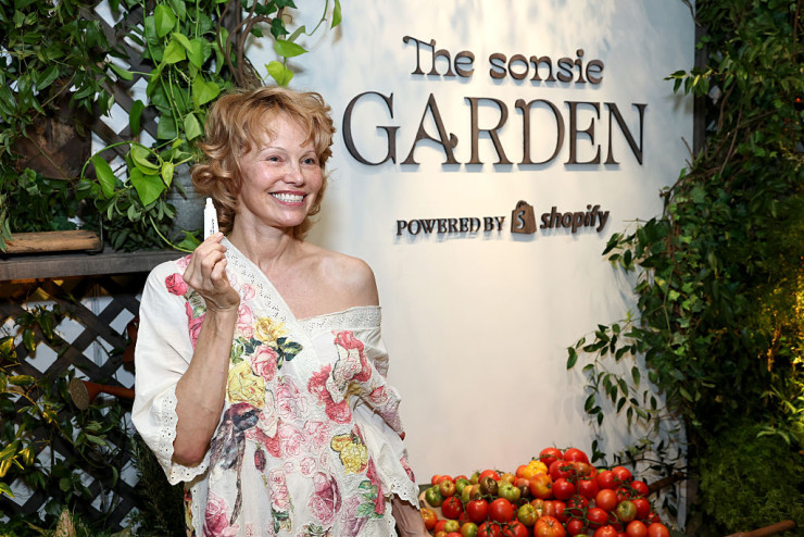 Памела; Снимка