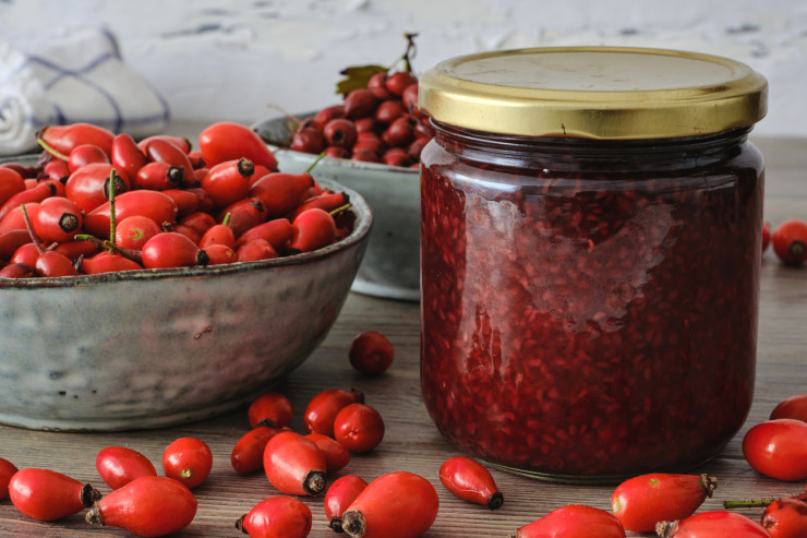 шипка istock